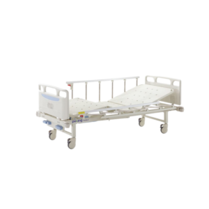 2 Function Full Fowler bed B11 B1