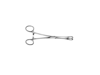 Forceps Swab Holding 18cm