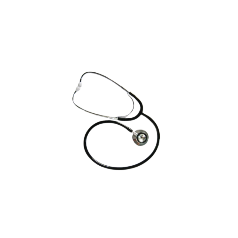 Stethoscope Child Dual Head Budget